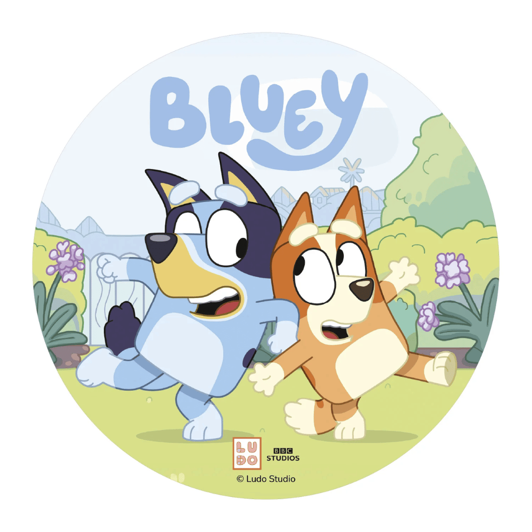 Edible bluey disc and bingo 20 cm