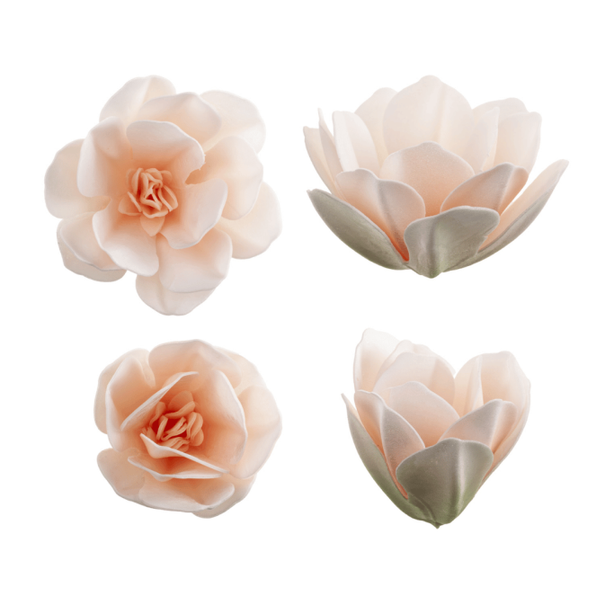 6 Magnolia Flowers in Wafer 7 cm | Cake decoration