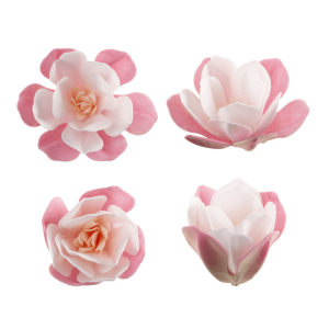 6 Pink & White Magnolias in Wafer 6.5 cm for Cake Decoration
