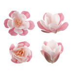 6 Pink & White Magnolias in Wafer 6.5 cm for Cake Decoration