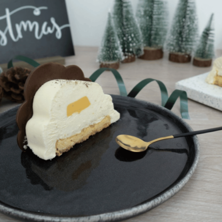 Frozen Christmas log cake with a cloud-shaped silicone mold from Cécoa Paris