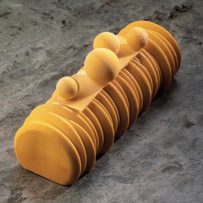 Mango Yule log with Sequoia Pavoni Yule log mold