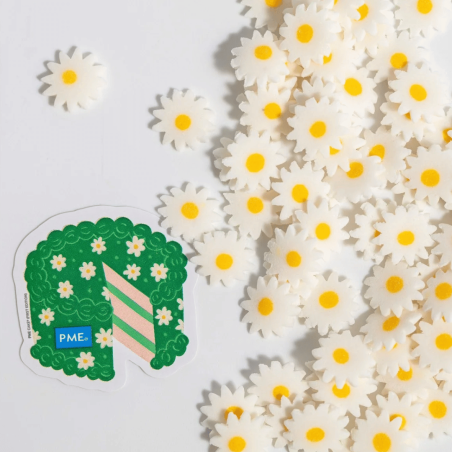 Sprinkles daisies PME: cake decoration for summer desserts