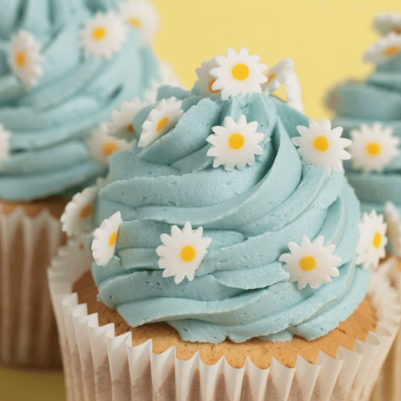 Cupcakes for summer dessert or Easter cake with daisy sprinkles (PME)
