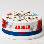 Customizable spider outline for cake