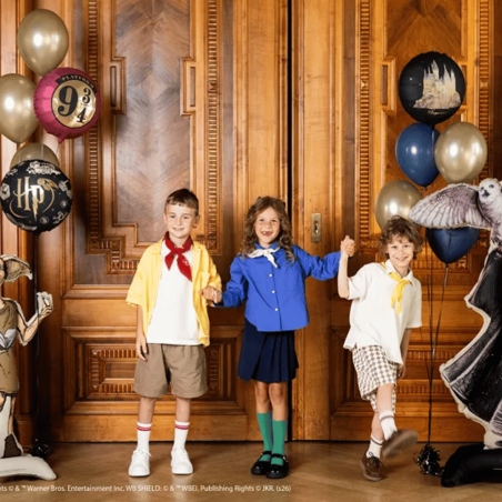 Harry Potter children's birthday decorations