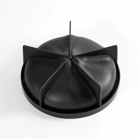 Lemon trompe l'oeil mold - Pavoni and Cedric Grolet