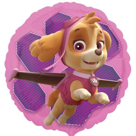 Paw Patrol balloon for girl