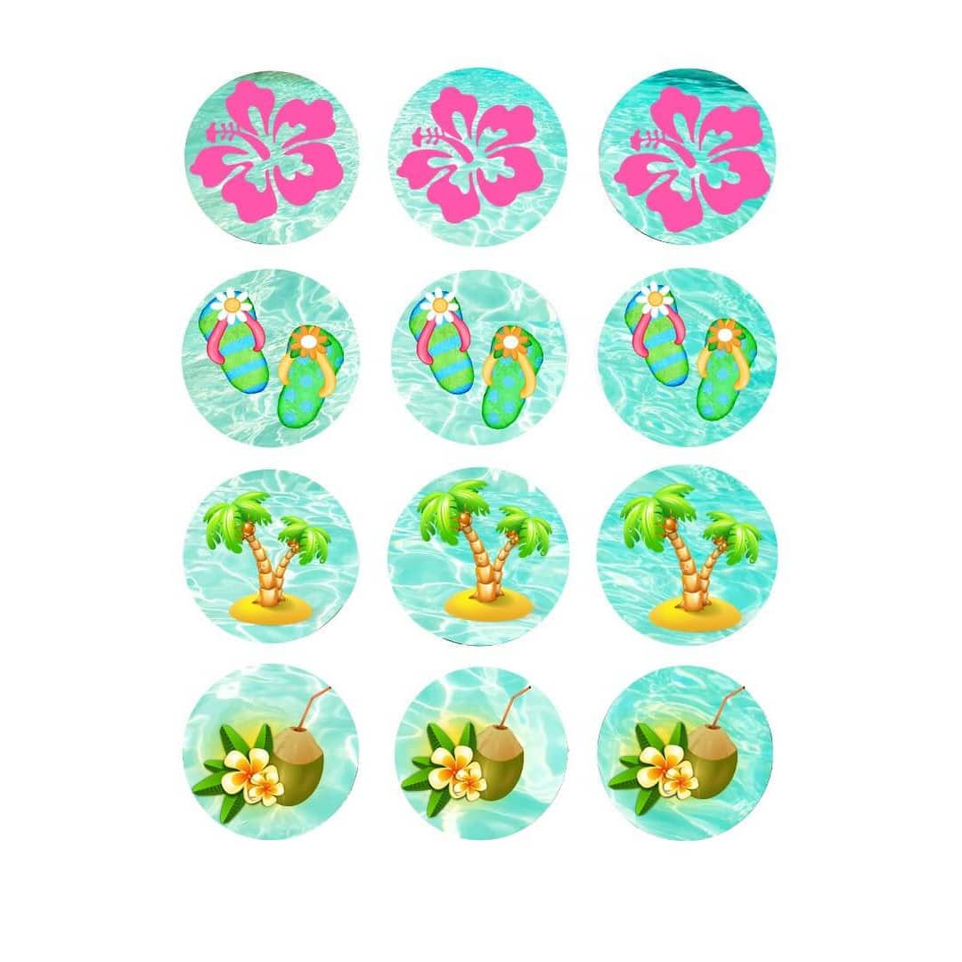 12-Mini-sugar-discs-cupcakes-vaiana