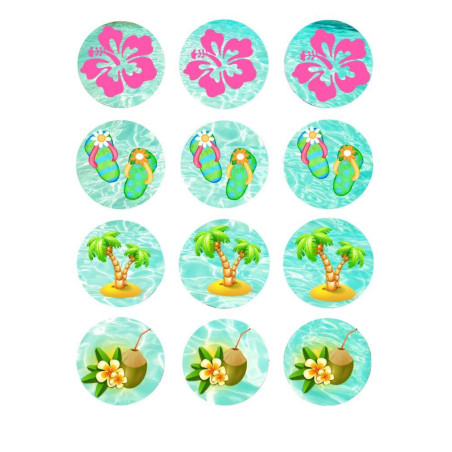 12-Mini-sugar-discs-cupcakes-vaiana
