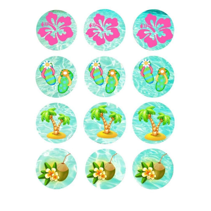 12-Mini-sugar-discs-cupcakes-vaiana