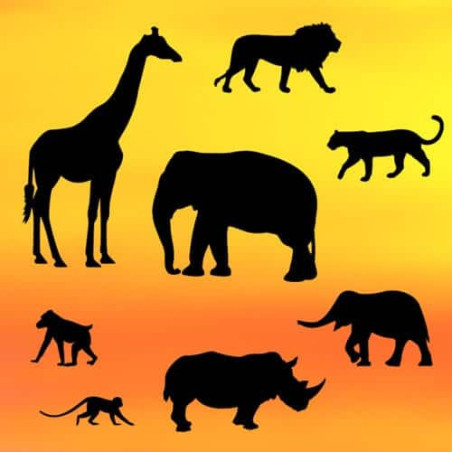 Cutters-patchwork-safari-cake-design