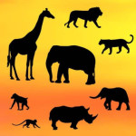 Cutters-patchwork-safari-cake-design