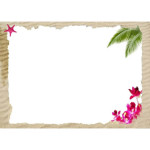 Photo-edible-A4-sand