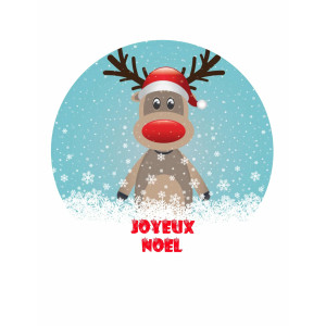 Christmas-sugar-disc-20-cm