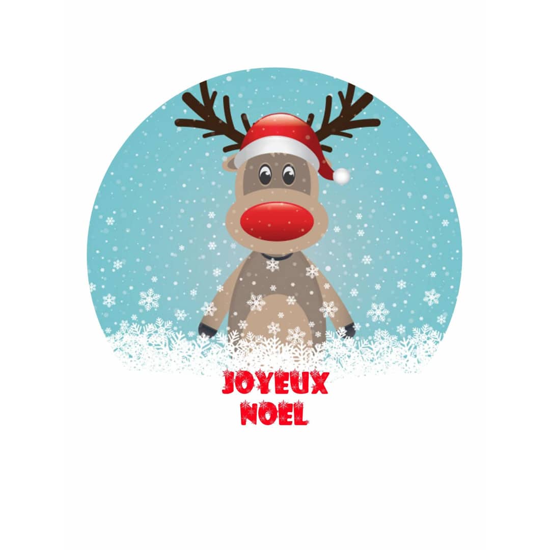Christmas-sugar-disc-20-cm