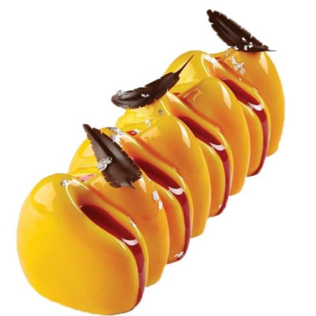 Silicone-mould-Canyon-Pavoni