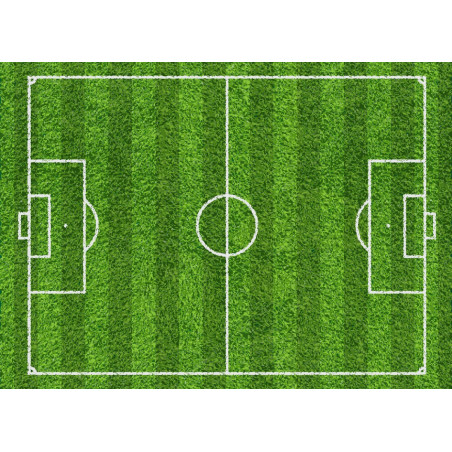sugar-football-field-for-cake