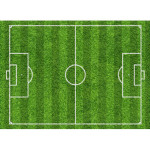 sugar-football-field-for-cake