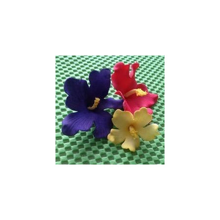 hawaii-flowers-in-sugar-paste