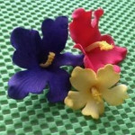 hawaii-flowers-in-sugar-paste