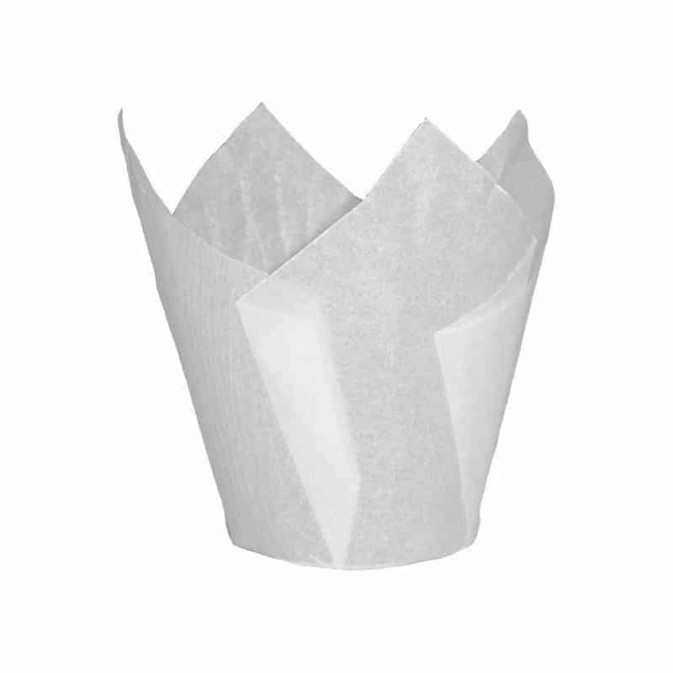 50-white-tulip-muffin-cases