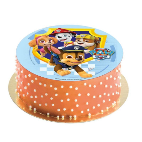 paw patrol cake