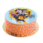 paw patrol cake