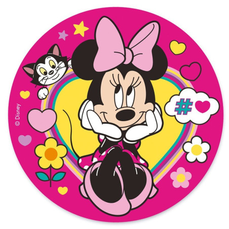 wafer-disc-minnie-20-cm