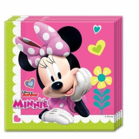 20-napkins-Minnie