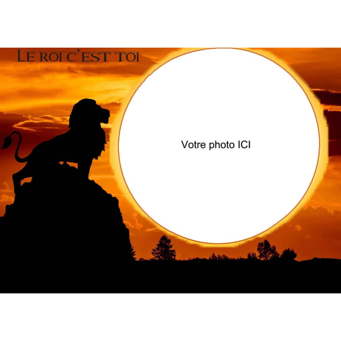 photo-edible-a4-lion
