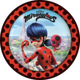 Lady Bug Birthday and Cake Decoration - 