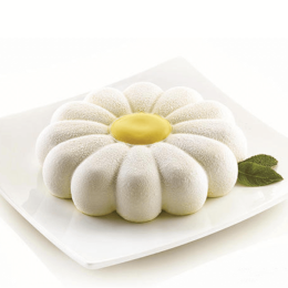 Cheap and Original Easter cake mold