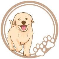 image-Dog birthday decoration